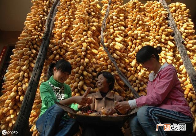 东北特产店可以卖什么 开东北特产店多少资金