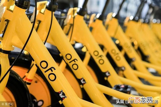 ofo小黄车的发展历程,戴威ofo创业启示