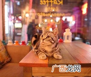 光谷sbi创业街,光谷创业街42号