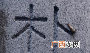 光谷sbi创业街,光谷创业街42号