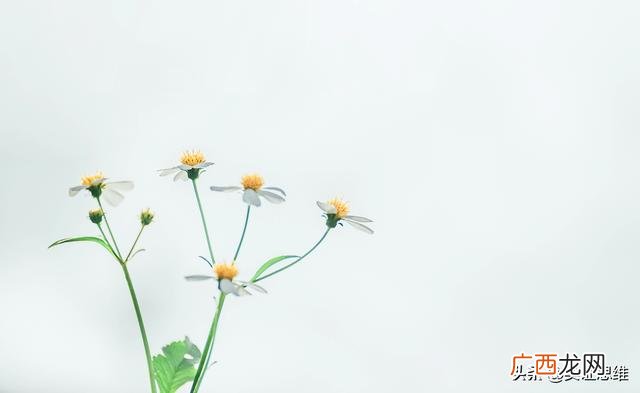 创业者的主要特质 创业者进行创业更多的是在