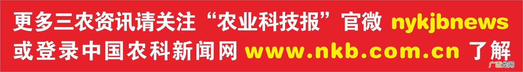 一个市场档口水果营业额 切水果创业