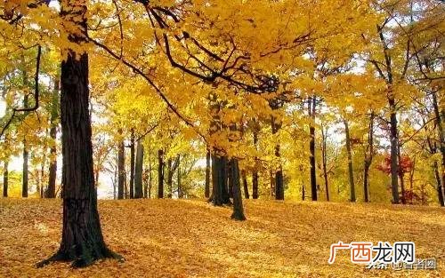 创新创意创业大赛点子 diy创业项目