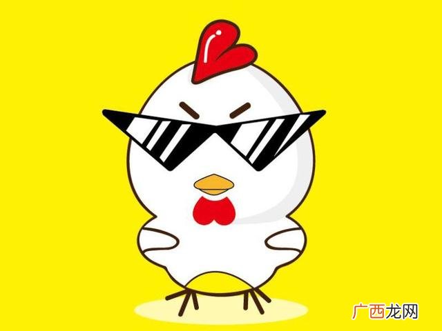 叫了个炸鸡官方网站,鸡排加盟店