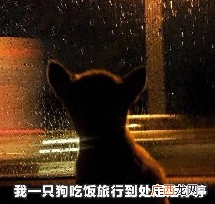 创新活动推广,创新创意活动引语