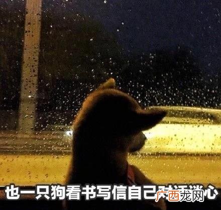 创新活动推广,创新创意活动引语