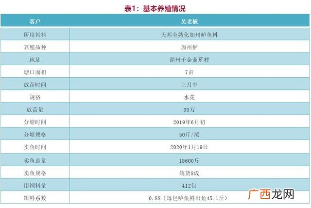 2020养鱼致富经,农村养鱼致富经