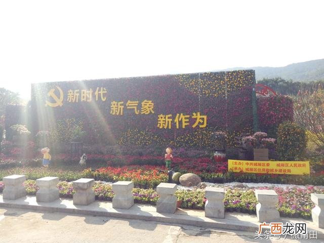 公园摆摊新鲜项目 广场摆摊儿童娱乐项目最新