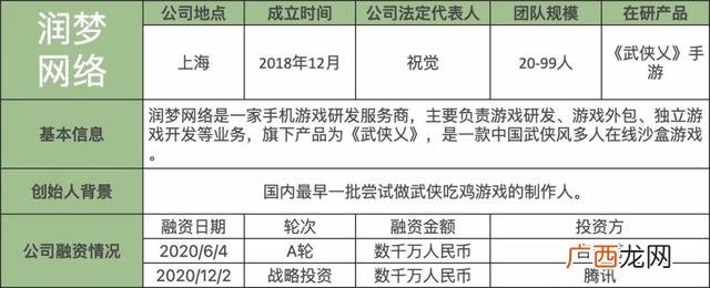 中国有哪些游戏公司,创业游戏公司