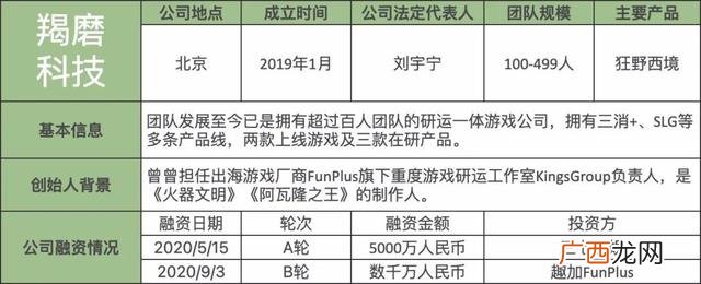 中国有哪些游戏公司,创业游戏公司