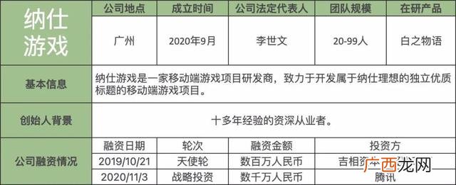 中国有哪些游戏公司,创业游戏公司
