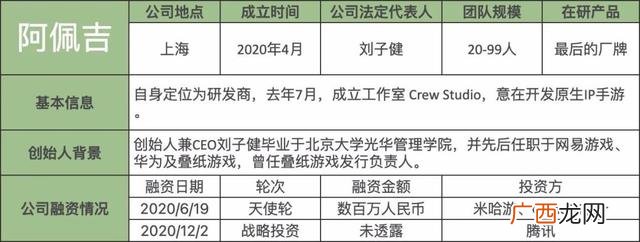 中国有哪些游戏公司,创业游戏公司