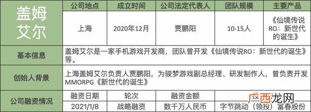 中国有哪些游戏公司,创业游戏公司