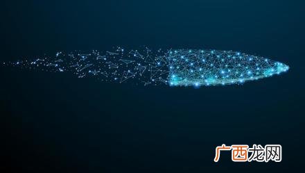 上海创投3000万具体落户政策,上海创业投资机构落户