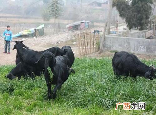 个人创业网,农民网上创业