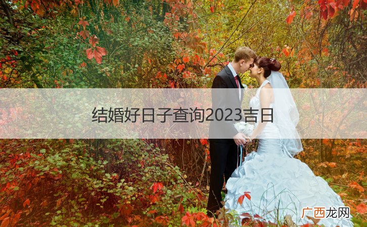 结婚好日子查询2023吉日