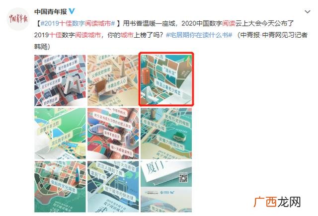 国兴药业股份有限公司 浙江国新中药