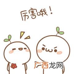 国兴药业股份有限公司 浙江国新中药