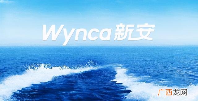2021年未来有可能10倍的牛股,创业黑马股票股吧