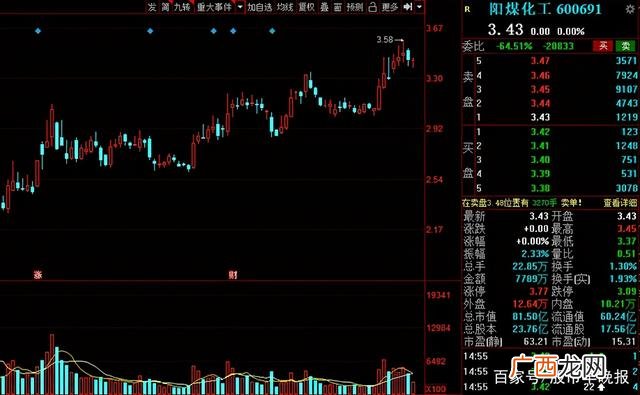 2021年未来有可能10倍的牛股,创业黑马股票股吧