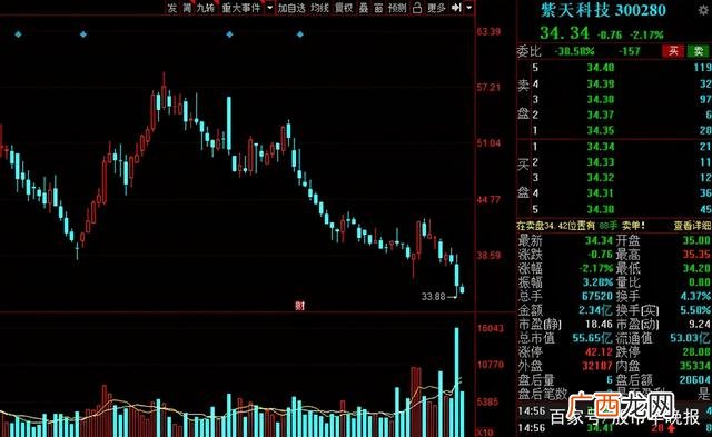 2021年未来有可能10倍的牛股,创业黑马股票股吧