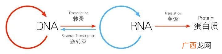 十大最坑专业排名 十大最好专业理科