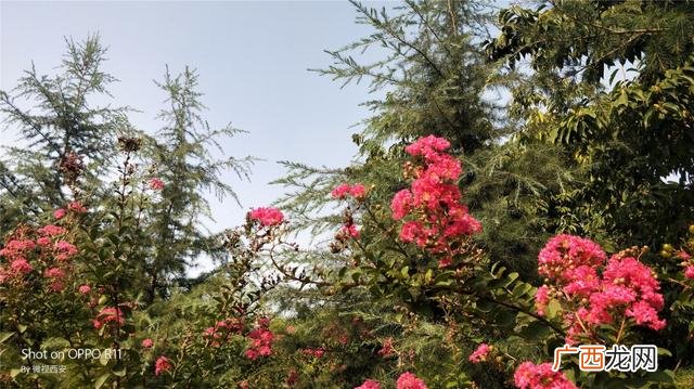咸阳公园有哪些,咸阳创业大厦到沣河森林地铁口距离