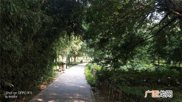 咸阳公园有哪些,咸阳创业大厦到沣河森林地铁口距离