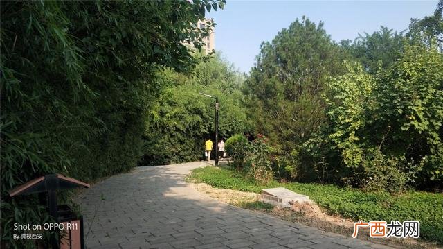 咸阳公园有哪些,咸阳创业大厦到沣河森林地铁口距离