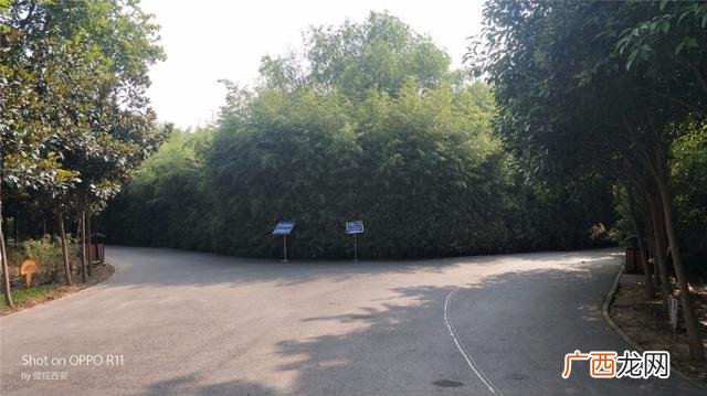 咸阳公园有哪些,咸阳创业大厦到沣河森林地铁口距离