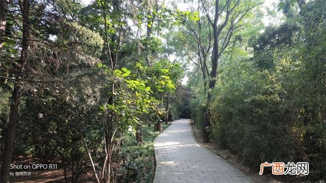 咸阳公园有哪些,咸阳创业大厦到沣河森林地铁口距离