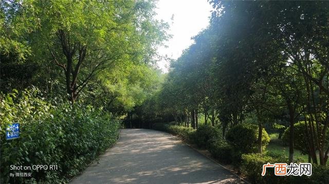 咸阳公园有哪些,咸阳创业大厦到沣河森林地铁口距离