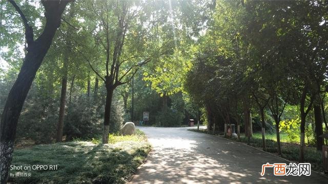 咸阳公园有哪些,咸阳创业大厦到沣河森林地铁口距离