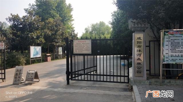 咸阳公园有哪些,咸阳创业大厦到沣河森林地铁口距离