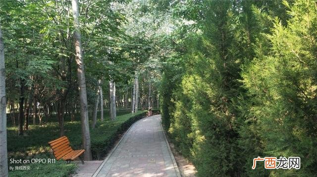 咸阳公园有哪些,咸阳创业大厦到沣河森林地铁口距离