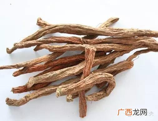 农村种植致富好项目 农村种植什么药材最赚钱