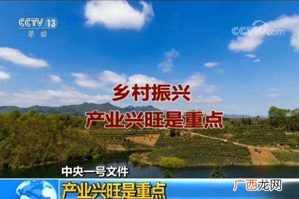 国家重点扶持项目农村 农村创业补助申请