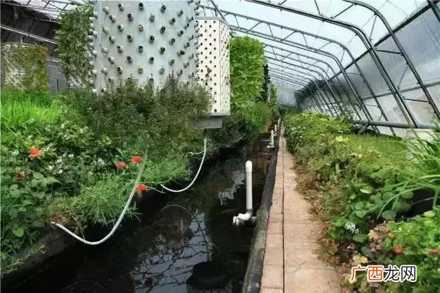 20亩小型家庭农场 农庄创业思路