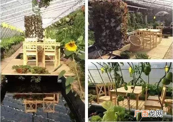 20亩小型家庭农场 农庄创业思路