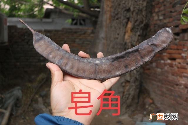 制造洗衣液的原材料,洗衣液材料哪里有