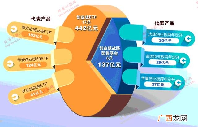 创业板指数型基金 创业板注册制战略配售基金