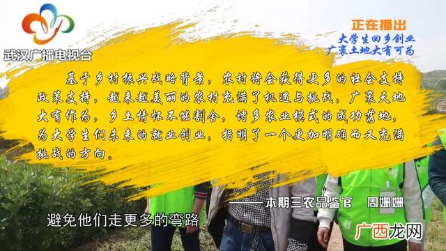 大学生回乡创业政策扶持 大学生回乡创业的时评