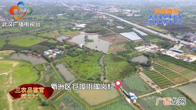 大学生回乡创业政策扶持 大学生回乡创业的时评