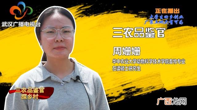 大学生回乡创业政策扶持 大学生回乡创业的时评