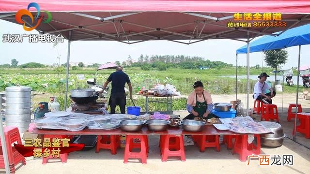 大学生回乡创业政策扶持 大学生回乡创业的时评