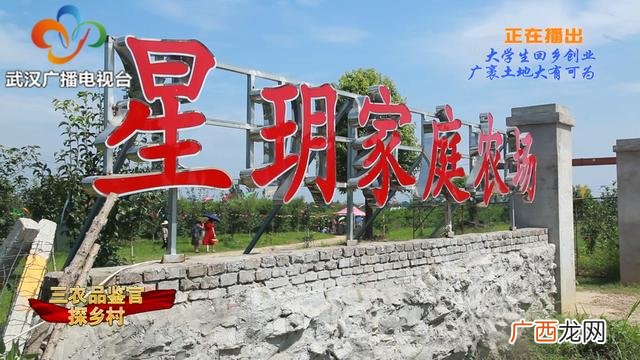 大学生回乡创业政策扶持 大学生回乡创业的时评
