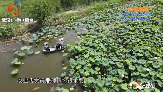 大学生回乡创业政策扶持 大学生回乡创业的时评