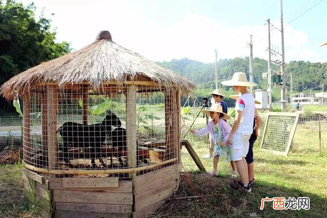 大学生物联网小项目,物联网创新创业