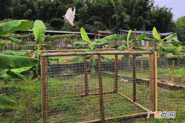 大学生物联网小项目,物联网创新创业