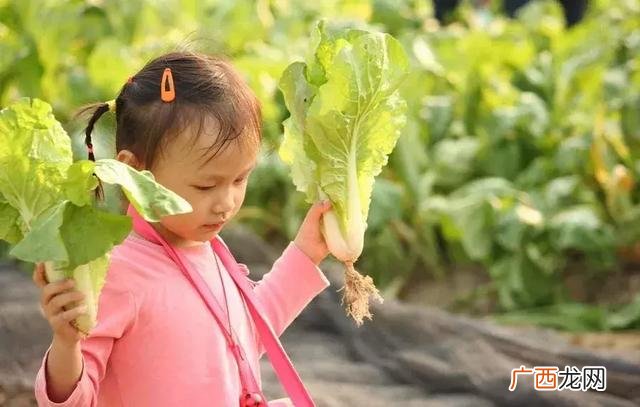 大学生物联网小项目,物联网创新创业